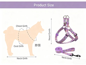 حزام كلاب قابل للفصل صديق للبيئة رائج البيع، قابل للتعديل، ناعم، بلاستيكي، عصري، رياضي، بدون سحب، بنمط صلب، خطاف وحلقة ذهبي وردي - Product Image 3