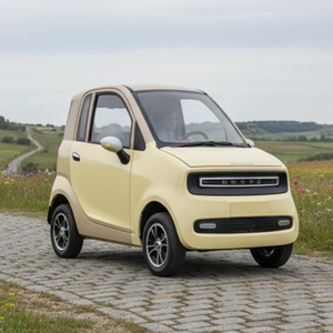 Coche eléctrico BRT MINI con certificación EEC/COC/L6e-BP, 45 km/h, Mini EV con 2 puertas y 2 asientos para uso legal en carreteras europeas. - Product Image 5
