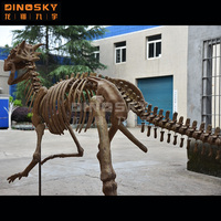 Dinosaure artificiel os dinosaure fossile de squelette de vitrine d'exposition de musée
