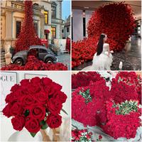 Großhandel 50 Stück Realistische Handgefertigte Rote Rosen Künstliche Seidenblumen Großpackung Hochzeitsdekorationen Brautsträuße Valentinstag