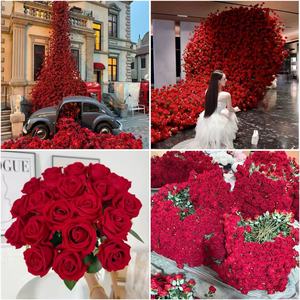 Lot <span class=keywords><strong>de</strong></span> 50 roses rouges artificielles réalistes faites à la main en soie, idéal pour centres <span class=keywords><strong>de</strong></span> table <span class=keywords><strong>de</strong></span> mariage, bouquets <span class=keywords><strong>de</strong></span> <span class=keywords><strong>mariée</strong></span>, Saint-Valentin - Product Image 2