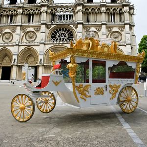 Chariot de luxe électrique sculpté pour chevaux, chariot royal à 4 roues, structure en acier Q235B, idée cadeau pour mariage et Noël - Product Image 4