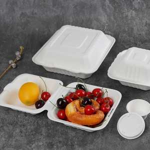 Caja de bagazo biodegradable desechable para comida rápida, contenedor de almuerzo, tubo de bagazo de caña de azúcar recubierto, con cierre elegante tipo concha - Product Image 1