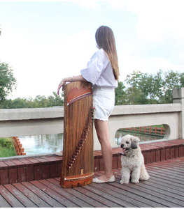 ขายส่งกู่เจิงพกพาสำหรับเด็ก - กู่เจิงขนาดเล็ก เหมาะสำหรับผู้เริ่มต้น - Product Image 3