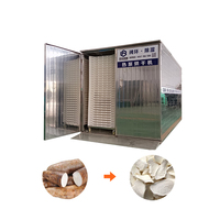 Fabriek Industriële Cassave Groentedroogmachine Fruit Dehydrator Droge Chili Vlees Voedsel Droger Machine Productielijn