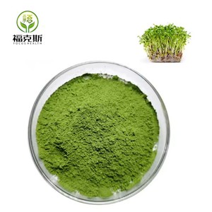 Extracto de Hoja de <span class=keywords><strong>Alfalfa</strong></span> en Polvo de Alta Calidad, Grado Alimenticio 10:1 20:1, para Suplementos Nutricionales, Suministro de Fábrica - Product Image 2
