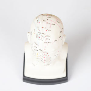 رئيس الوخز بالإبر نموذج 22 سنتيمتر رأس بشري الطب الصيني التدريس نقطة الوخز بالإبر نموذج - Product Image 5