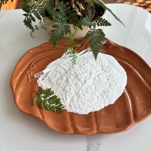 Carbonato di Magnesio CAS546-93-0 Anidro - Product Image 2