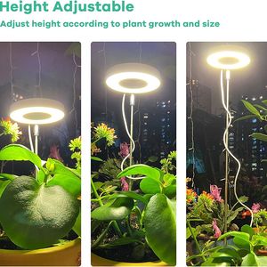 Luz <span class=keywords><strong>LED</strong></span> Retráctil para Crecimiento de Plantas, Anillo de Luz Roja, Azul y Cálida, Espectro Completo, Regulable, para Interiores - Product Image 2