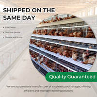 Offre Spéciale – Cages à Poules Pondeuses de Type A à 3/4 Niveaux pour 96, 120, 128, 160 Poules, Idéales pour Poulaillers de 5000 Poulets