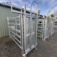 Cage d'encastrement robuste pour bétail, galvanisée à chaud, anti-évasion, avec barre de tête et clé manuelle