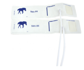 Animal jetable 1 # à 5 # brassard NIBP brassard de pression artérielle à <span class=keywords><strong>tube</strong></span> unique brassard vétérinaire brassard BP - Product Image 3