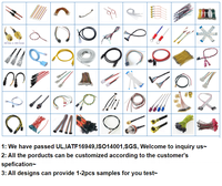 تجميعة كابلات إلكترونية مخصصة بمقاسات 1.0/1.25/1.5/2.0/2.54 مم مع موصلات JST Molex TE SH GH ZH PH XH TE بـ 2/3/4/5/6 دبابيس