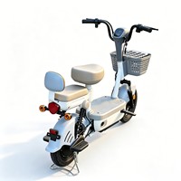 Mini vélos Smpllo en Europe, moteur 400W, vitesse maximale 30 km/h (3 vitesses), batterie au lithium 48V 20A amovible / batterie au plomb-acide