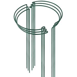 <span class=keywords><strong>Support</strong></span> de plante en treillis métallique <span class=keywords><strong>d</strong></span>'<span class=keywords><strong>intérieur</strong></span> <span class=keywords><strong>Support</strong></span> de plante demi-rond Supports de conception de piquet <span class=keywords><strong>pour</strong></span> <span class=keywords><strong>plantes</strong></span> <span class=keywords><strong>grimpantes</strong></span> suspendues - Product Image 1