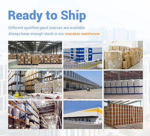 ウスダ粉末可溶性無味味発酵テクスチャービーガンピー米プロテインパウダー - Product Image 4