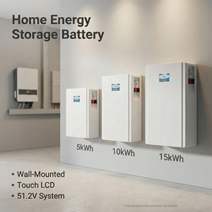 Système de stockage d'énergie domestique 48V 51.2V 202Ah 200Ah 10KWh, batterie solaire Powerwall au lithium LiFePO4 - Product Image 1