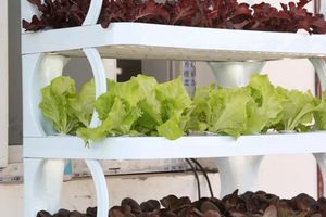 Le cultivateur hydroponique ONE-ONE avec système de culture intelligent à LED Grow Light - Product Image 4