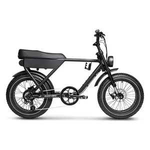 High Quality Adult Electric Motorcycle Bicycle US EU Stock E Bike Mountain Bike 750 W Fat All-terrain Bikes