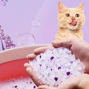 TAO LUCK Factory Supply Kunden spezifischer Kieselgel-Katzenstreu Neo Clean Silica Crystal <span class=keywords><strong>Cat</strong></span> <span class=keywords><strong>Litter</strong></span> - Product Image 5