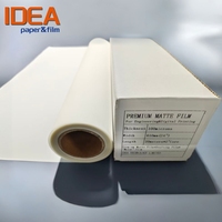 Rollo de Papel para Ploter de Diseño CAD, Película de Dibujo de Poliéster Mylar, Resistente a la Humedad, Grosor de 0.05 mm, Mate de una o Doble Cara