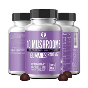 صمغ نباتي Lions Mane Gummies فطر غائر لتغذية دعم الدماغ