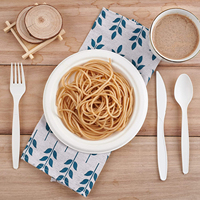 EcoNewLeaf 13cm Petite Petite Cuillère Biodégradable Compostable CPLA Cuillère à Dessert