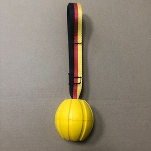 ของเล่นสุนัขแบบลอยน้ำ ทำจากโฟม EVA รูปทรงลูกบอลเชือกธงชาติ  แบบหัวเดียว  ทันสมัย  เป็นมิตรกับสิ่งแวดล้อม  คลาสสิก - Product Image 3