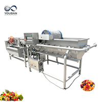 YOUBAN Automatische Vortex Wasmachine Commerciële Groente Fruit Zeevruchtenwasser voor Voedingsmiddelenfabriek Kantine Verwerkingslijn