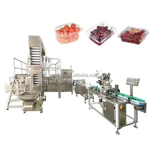 LG-FC300 Blueberry Liquid Automatic Plastic Cup Tray Food Vacuum Clamshell Filling Sealing Packaging Machine