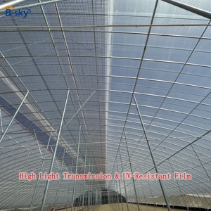 <span class=keywords><strong>Serre</strong></span> en film plastique pour l'agriculture maraîchère avec filet anti-insectes et système de ventilation - Product Image 4