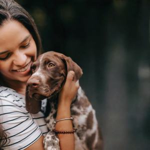 Suplemento de Marca Privada OEM/ODM, Masticables Suaves Calmantes para Perros, Alivio de la Ansiedad y el Estrés con Manzanilla y Melatonina - Product Image 5