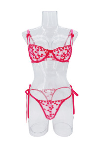 Wholesale Heart Embroidery Lace Lingerie <b>Set</b> <b>Sexy</b> Sheer Mesh Womens Intimates Underwire Bra and Tie Side Thong Panties <b>Set</b> - Product Image 5