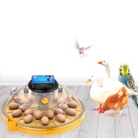JIATAI mini 12/24/36/48 couveuse d'oeufs entièrement automatique petit papillon 12V/220V pour poulet/canard/oie/caille