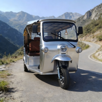 Tricycle standard L5e entièrement équipé pour la montée en pente avec contrôleur haute puissance et haute efficacité, homologué pour la route