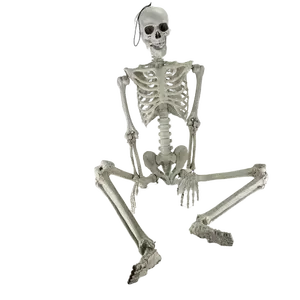 Requisiten Animierte menschliche bewegliche Gelenke 5.4Ft Hochwertige Halloween-Dekorationen in Lebensgröße Großes Skelett
