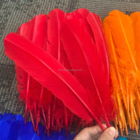 Plumes rondes de dinde teintes en gros, plumes de dinde moelleuses colorées pour la décoration de fête de carnaval, fournitures d'artisanat de bricolage