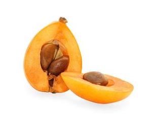 Pasokan pabrik buah Loquat segar Cina