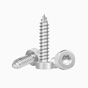 สกรูหัวท็อกสแตนเลส M4.0X5mm Legood สำหรับระบบการวัดเมตริกพลาสติก - Product Image 3