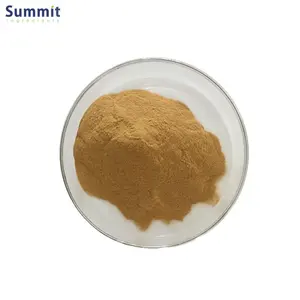 Wholesale Pueraria Lobate Extract 10:1 Kudzu Root Extract Powder Kudzu Root Extract