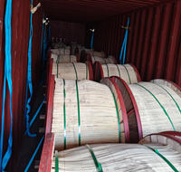 Cable de Alimentación Industrial de Bajo Voltaje YJLV de Aluminio, 3+1 Núcleos, 16, 25, 35, 50, 70 mm², Aislamiento XLPE, Blindado con Cinta de Acero, para Instalación Aérea