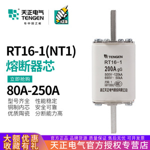 ฟิวส์ Tengen RT16-1 200A gG 500V 690V แรงดันสูง แบบเซรามิก ขาเสียบแบบเรเดียล - Product Image 5
