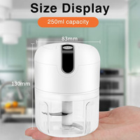 Portable 350ml USB Mini hachoir à viande et hachoir multifonction sans fil cuisine ail Broyeur broyeur