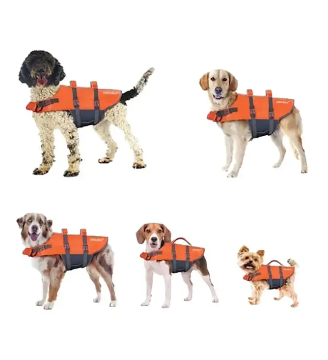 ペットの水泳のためのホット販売犬のライフジャケット防水快適な犬のライフベスト
