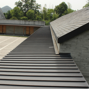 Système de toiture/façade à double verrouillage en métal-Dortoir, Appartement - Product Image 1