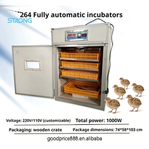 Incubateur automatique pour 264 œufs <span class=keywords><strong>de</strong></span> canard, d'oie, d'autruche et <span class=keywords><strong>de</strong></span> poulet, en acier inoxydable, taux d'éclosion <span class=keywords><strong>de</strong></span> 98% - Product Image 1