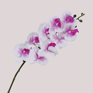 Flor Artificial Realista <span class=keywords><strong>de</strong></span> <span class=keywords><strong>Phalaenopsis</strong></span>, Pegada a Mano, Resistente al Agua, <span class=keywords><strong>de</strong></span> Larga Duración, Decoración Interior para el Hogar y la Oficina, Flor Biónica - Product Image 1