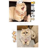 Collier pour chat style féerique avec pompon, réglable, décoratif, avec clochette et nœud papillon