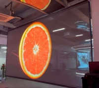 Écran LED transparent flexible à corps souple VORTEX, cloison en verre, mur publicitaire numérique