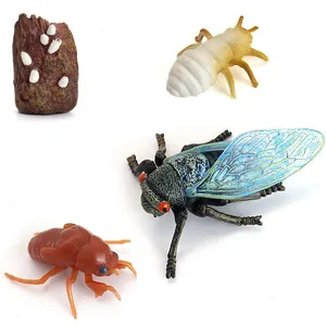 PVC Realistic toy models of animals and insects Children's gift Flying insect model simulation cicada Grow up Insect model toy